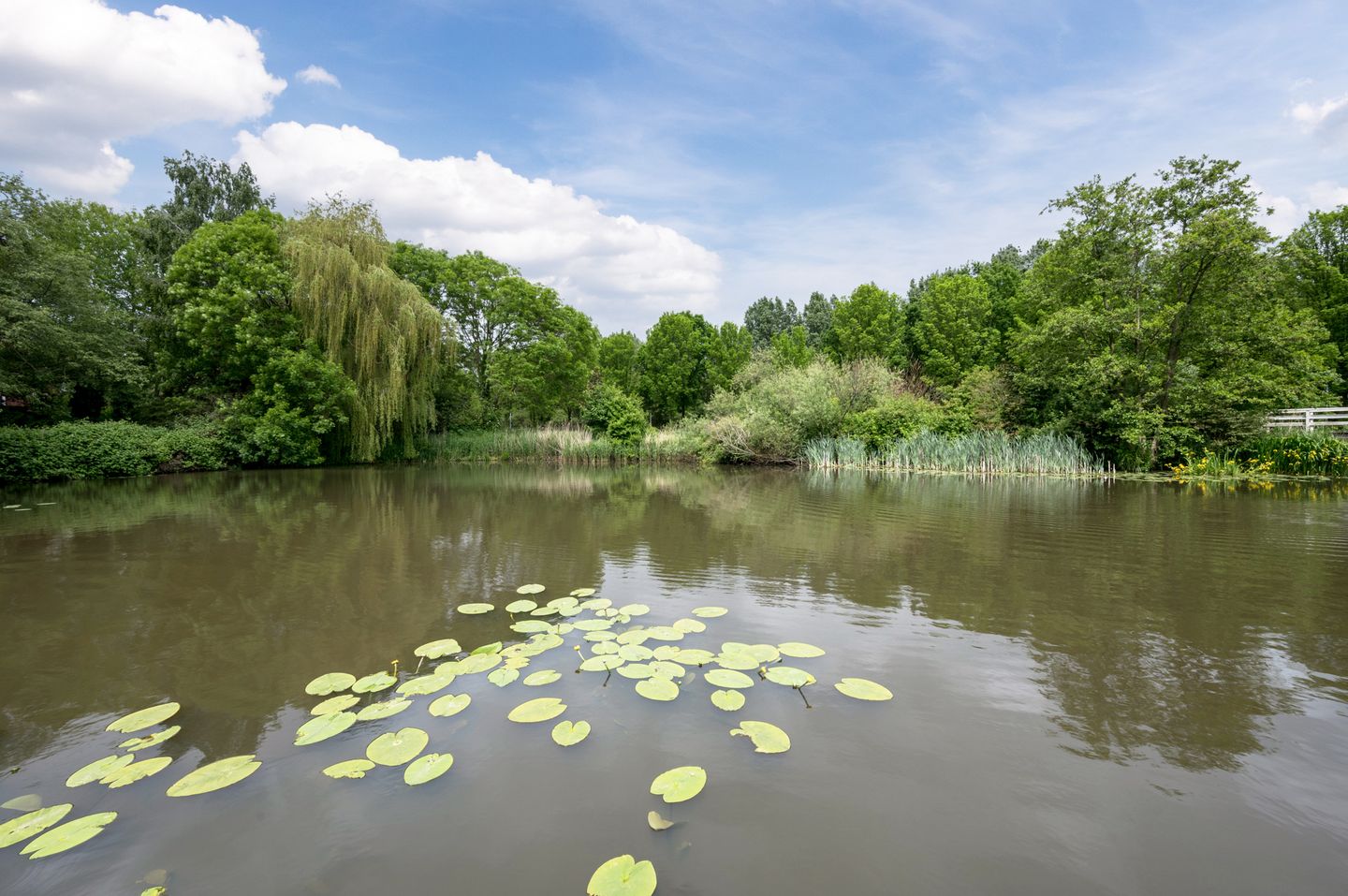 Foto 10 van In de Houtzaagmolen 59
