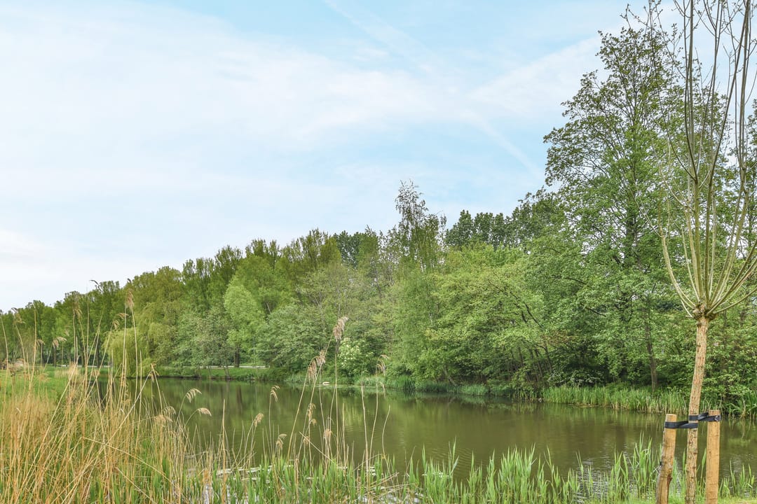 Foto 38 van In de Houtzaagmolen 59