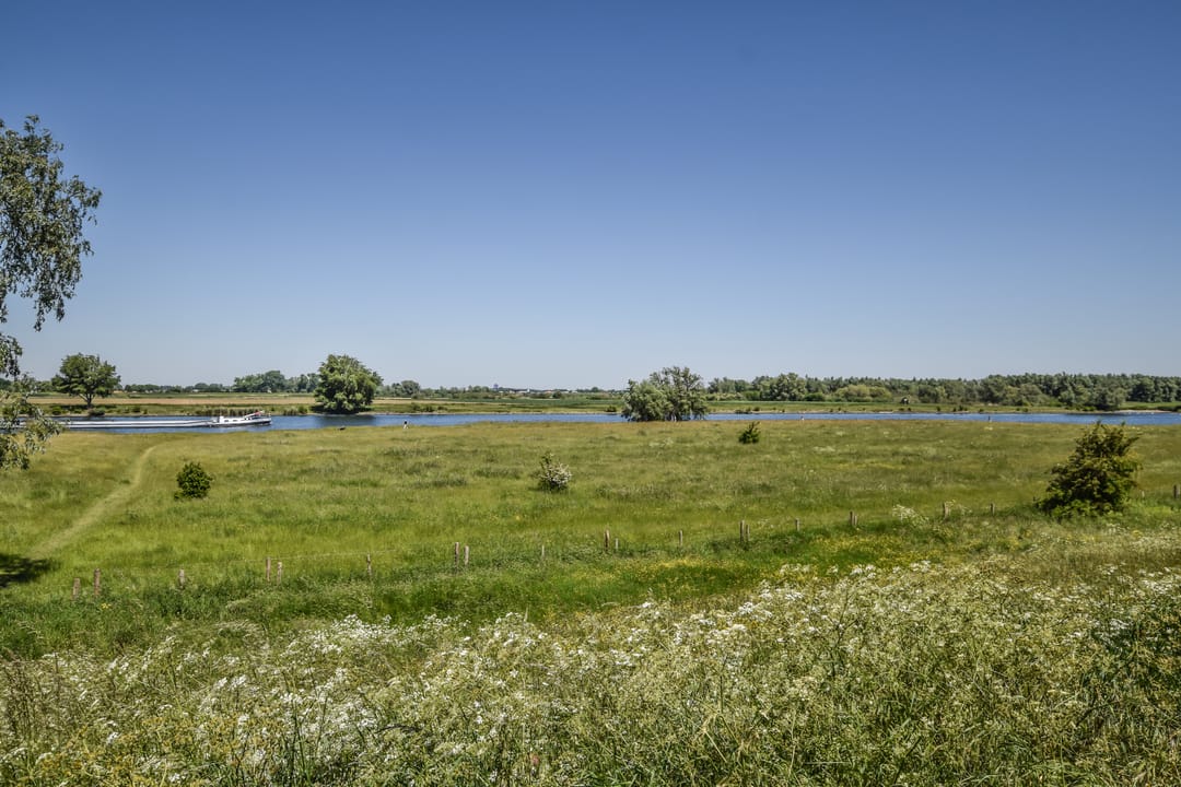 Foto 23 van Schout van Doernestraat 30