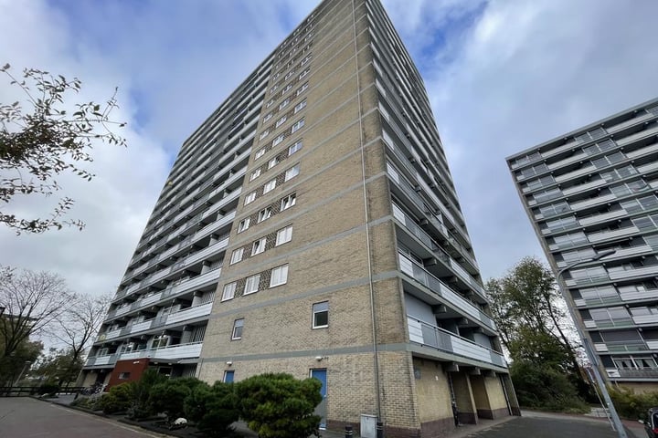 Waddenstraat 387