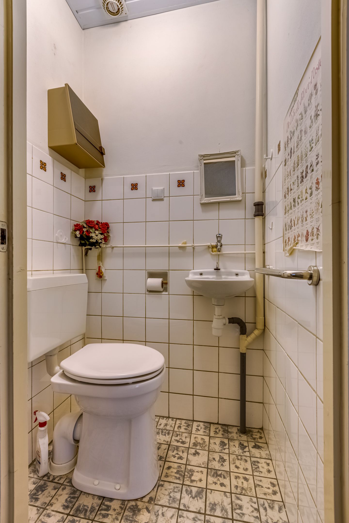 Foto 10 van Pollenstein 49