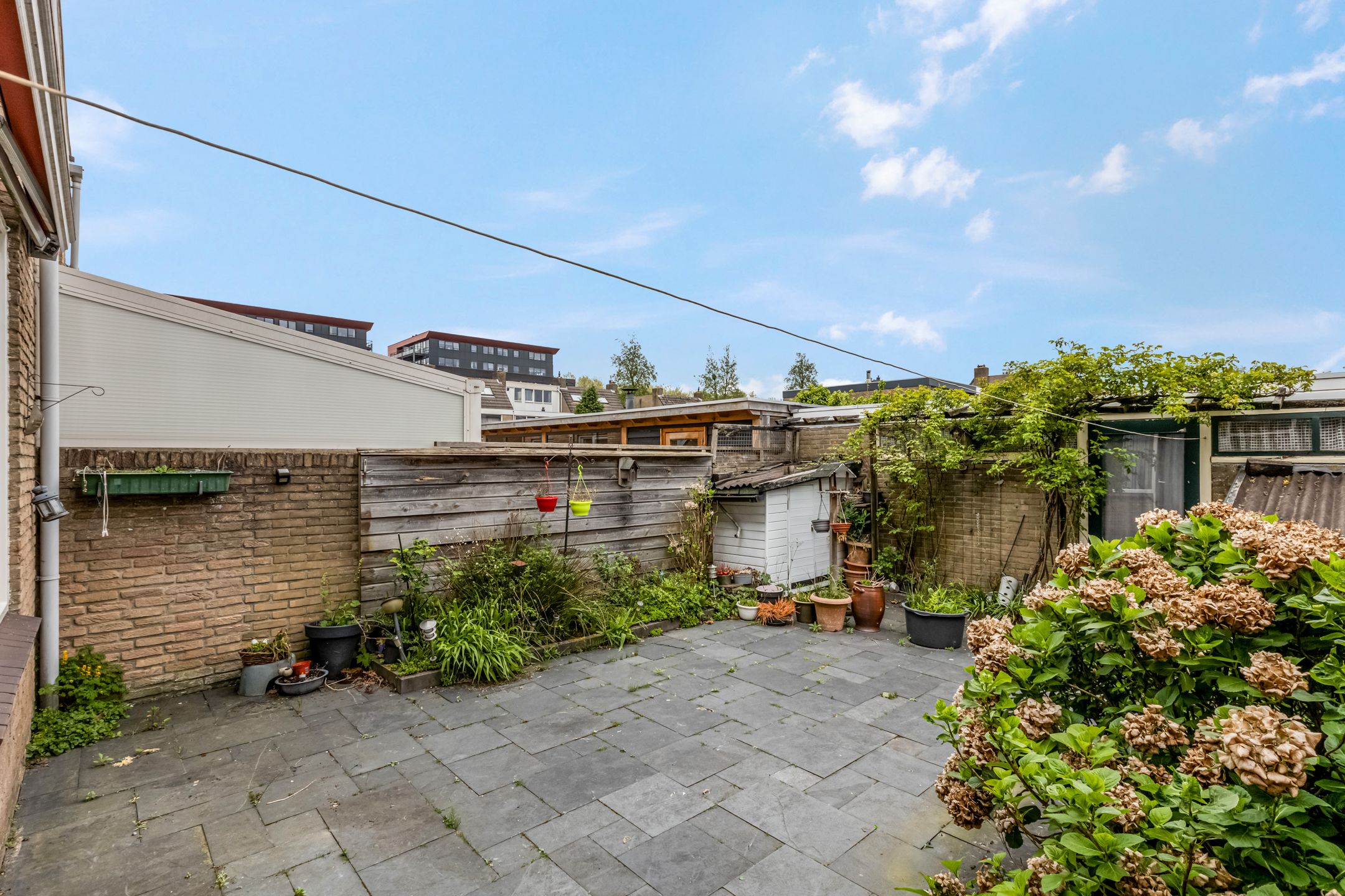 Foto 27 van Pollenstein 49