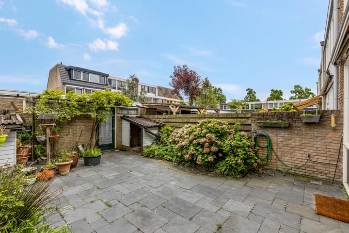 Foto 28 van Pollenstein 49