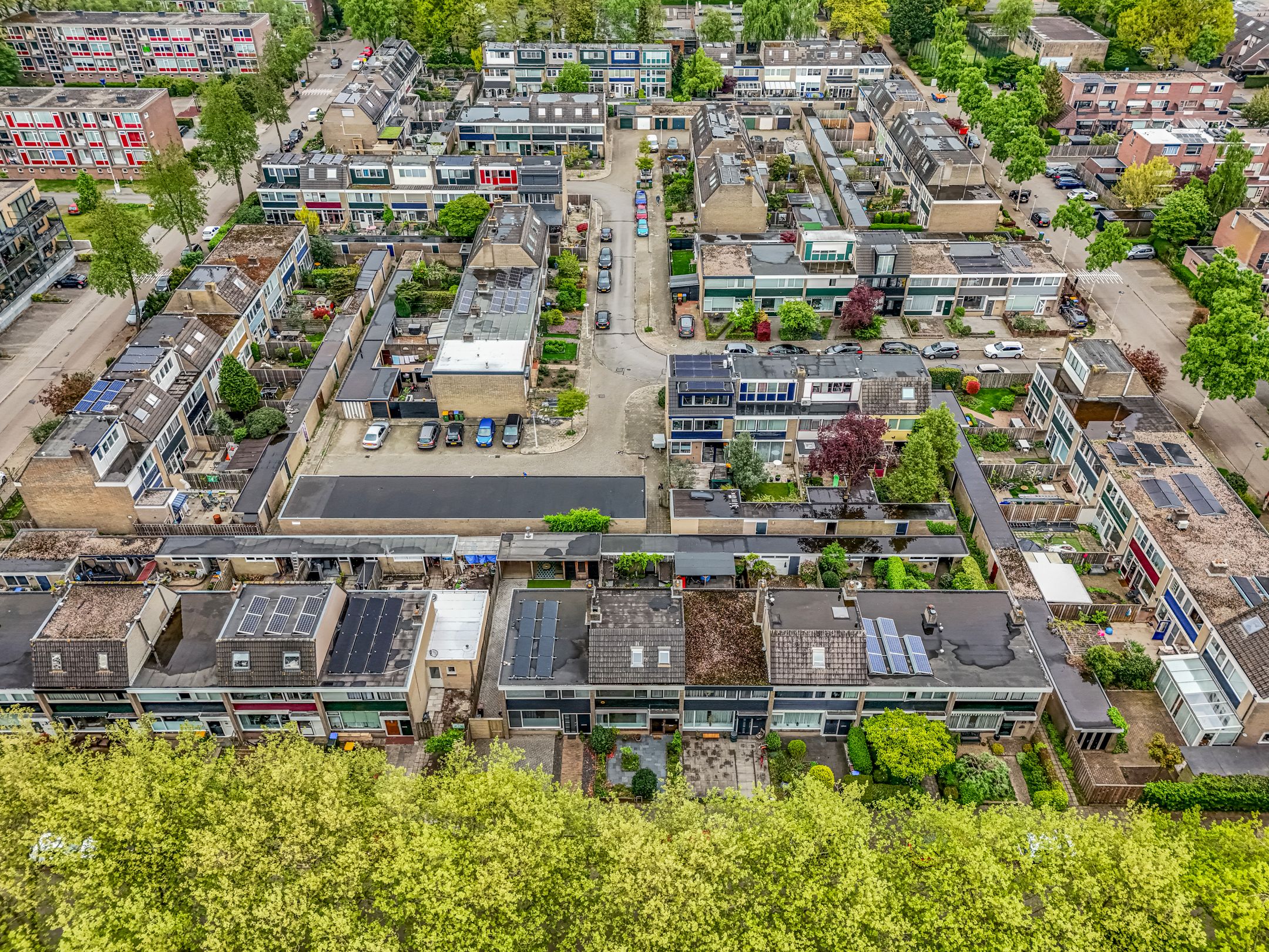 Foto 39 van Pollenstein 49