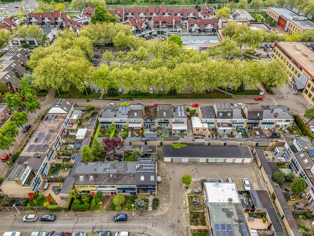 Foto 41 van Pollenstein 49