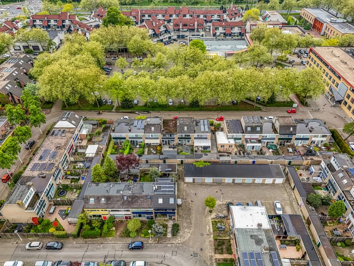 Foto 41 van Pollenstein 49