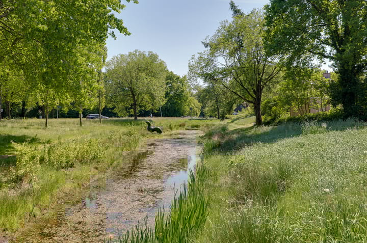 Foto 29 van Grasbeemd 32