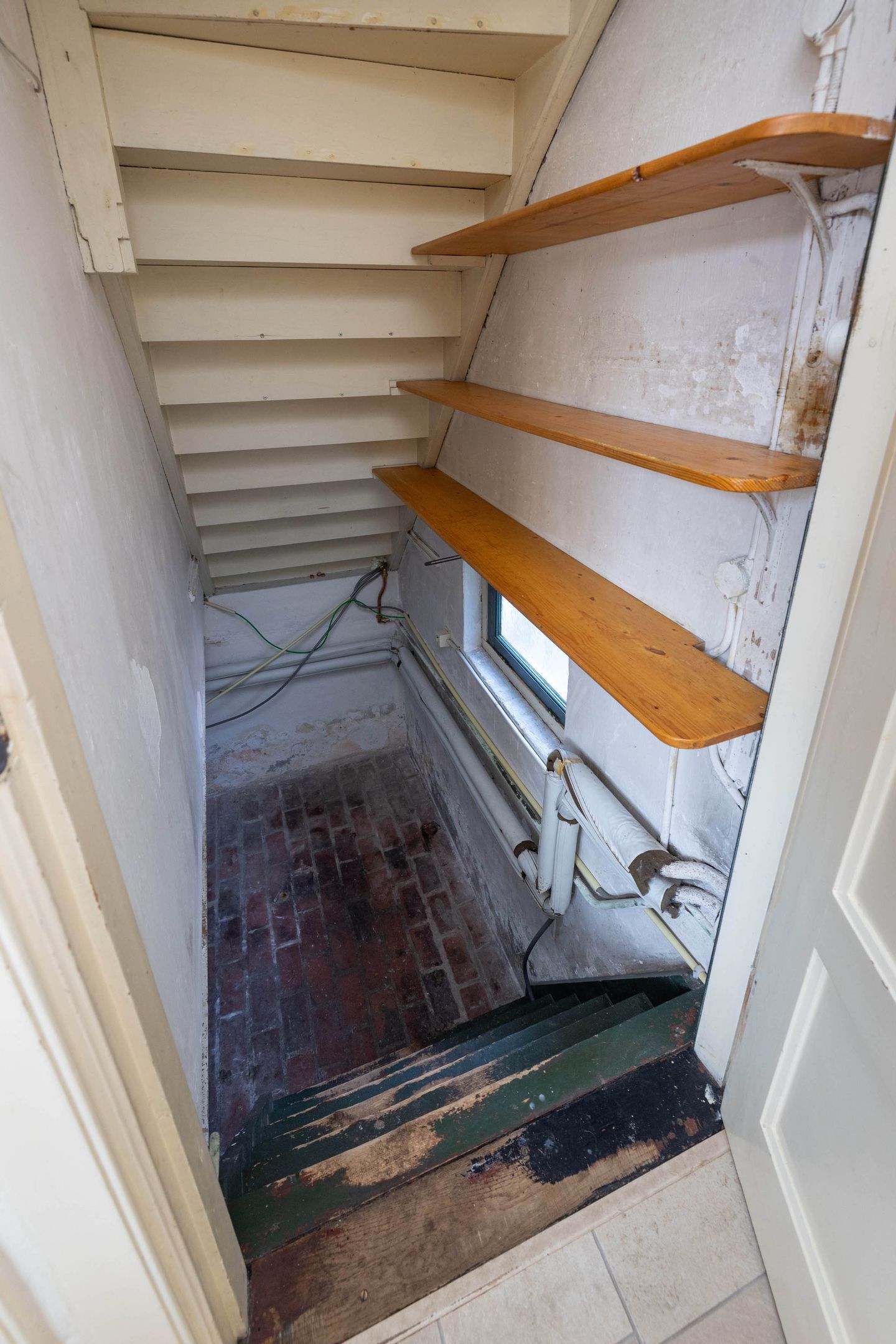 Foto 10 van Berfloweg 209