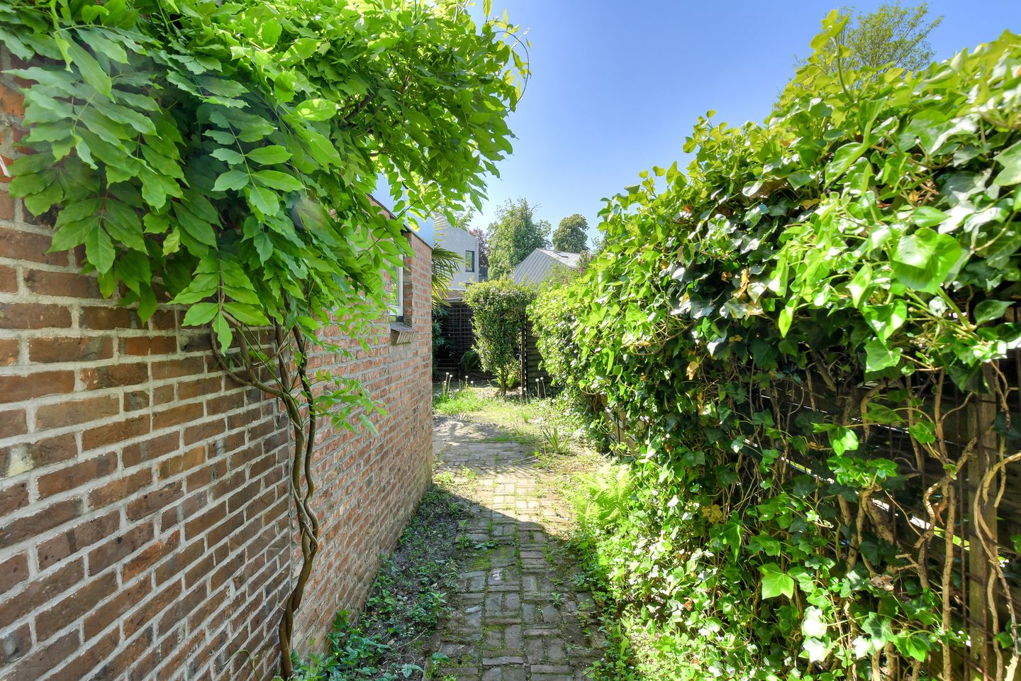 Foto 35 van Bavelselaan 16