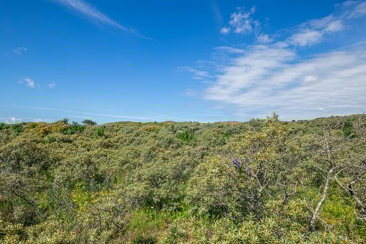 Foto 58 van Oude Parklaan 53