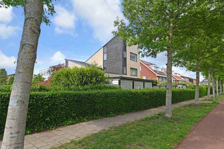 Photo 64 of Kamvaren 1