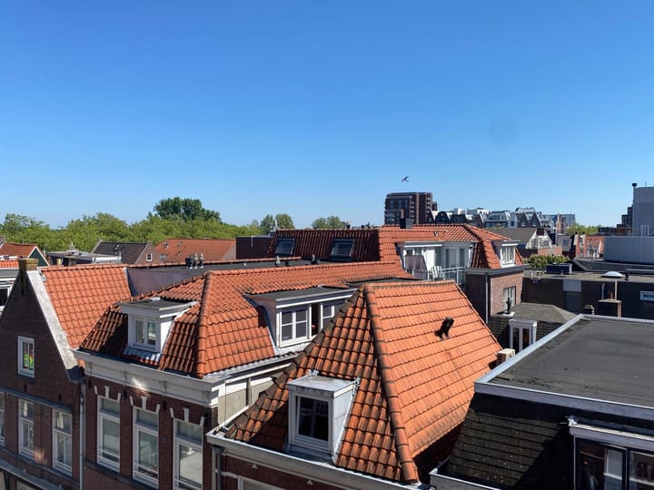 Foto 6 van Peperstraat 28-M