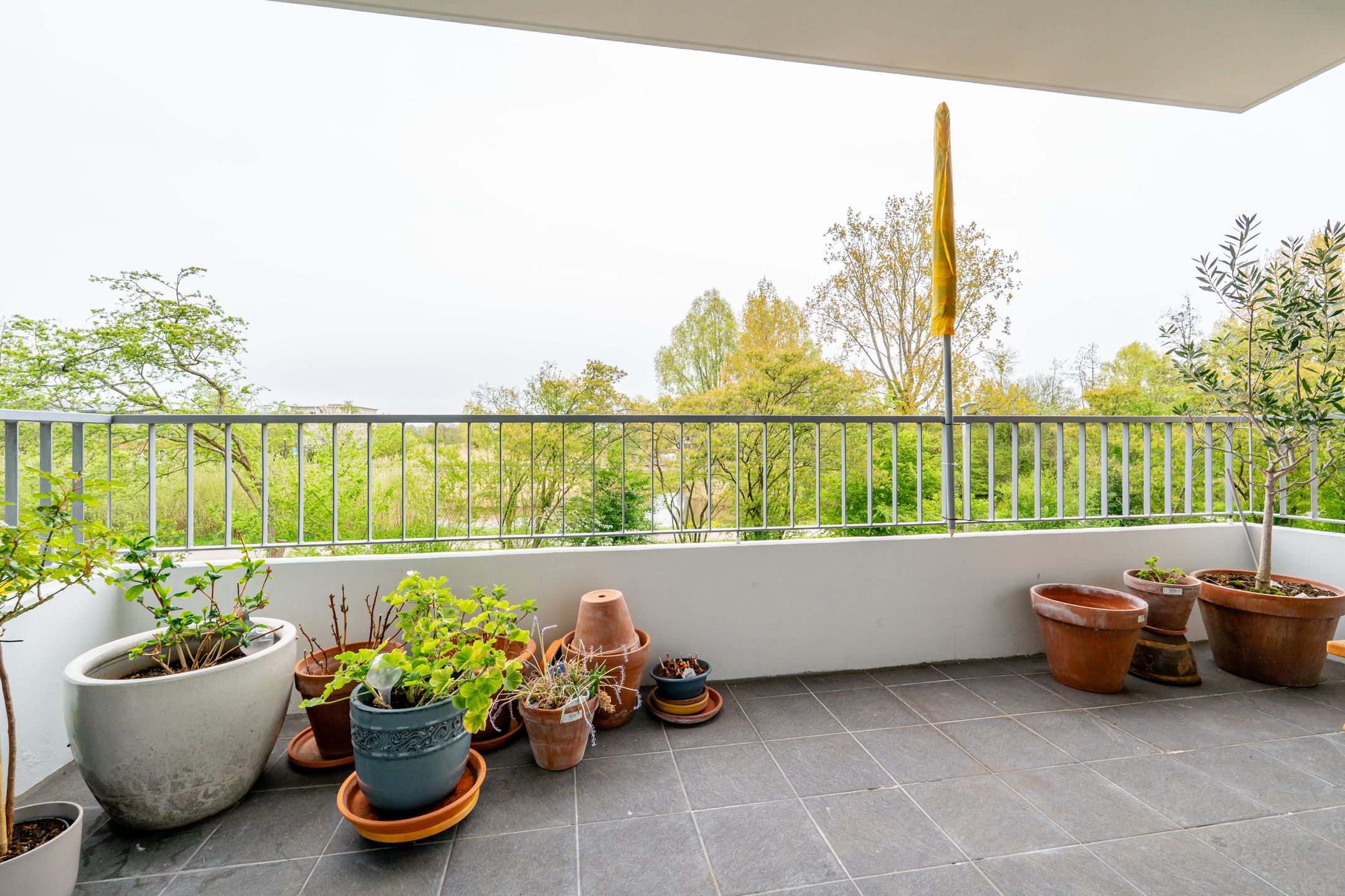 Photo 9 of Camera Obscuralaan 398