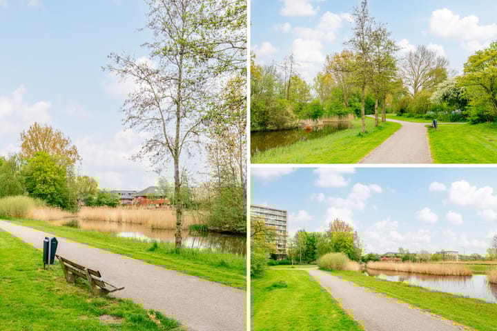 Photo 29 of Camera Obscuralaan 398