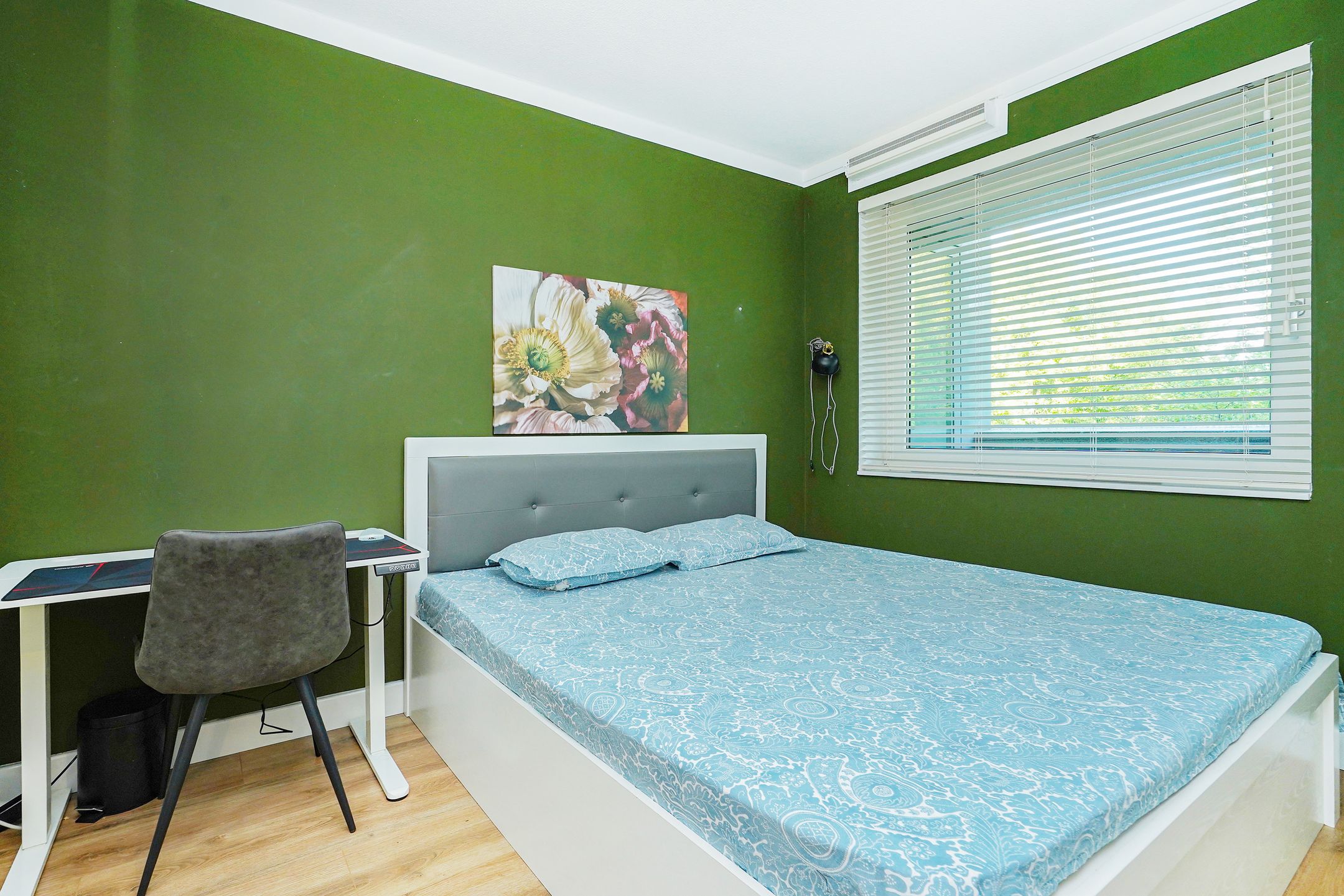 Foto 24 van Meppelweg 656