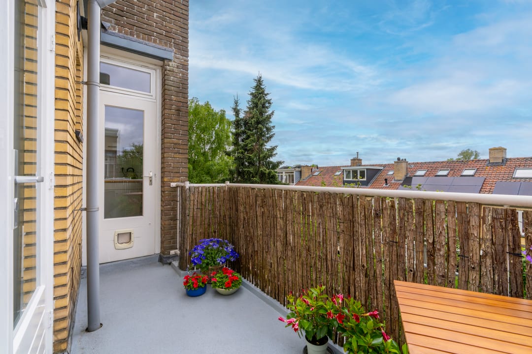 Photo 23 of Joseph Haydnlaan 20-2