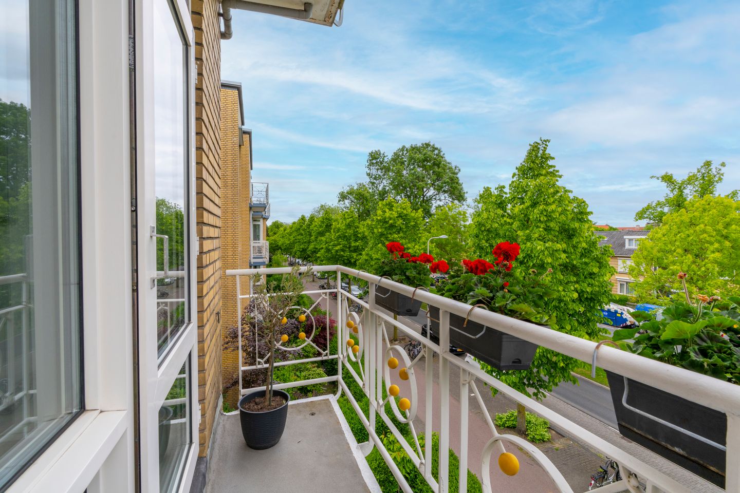 Photo 29 of Joseph Haydnlaan 20-2