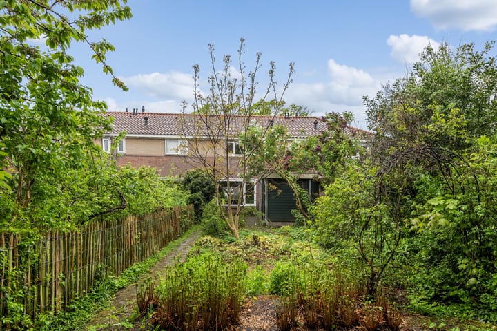 Foto 15 van Patrijzenplein 12