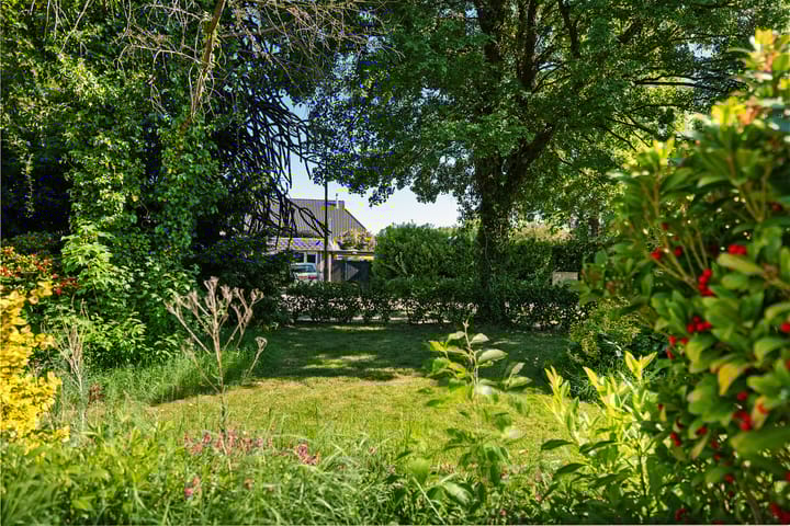 Foto 42 van Oude Asserstraat 20