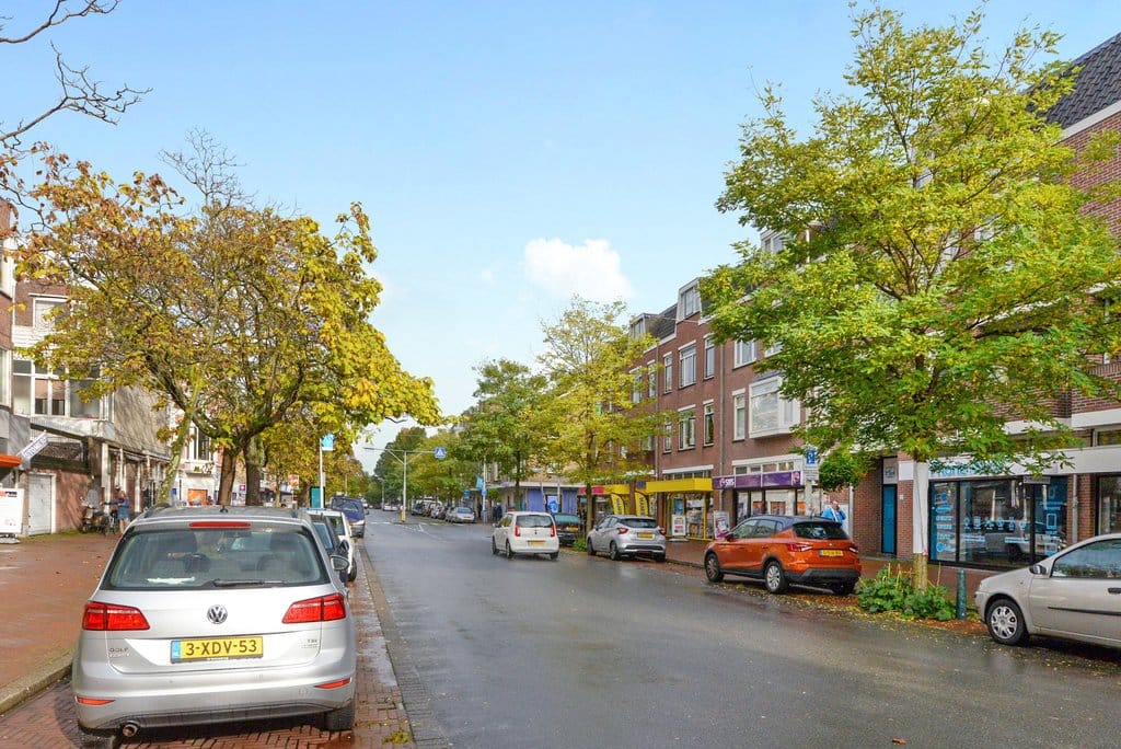 Foto 29 van Theresiastraat 65-A