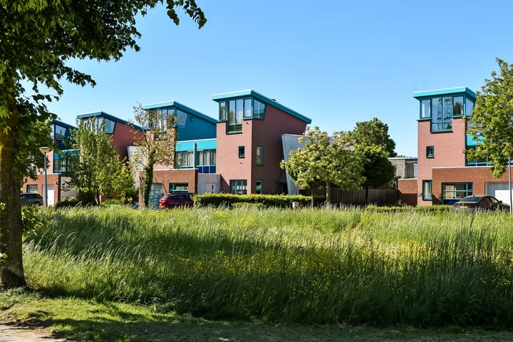 Foto 2 van Jonagold 6