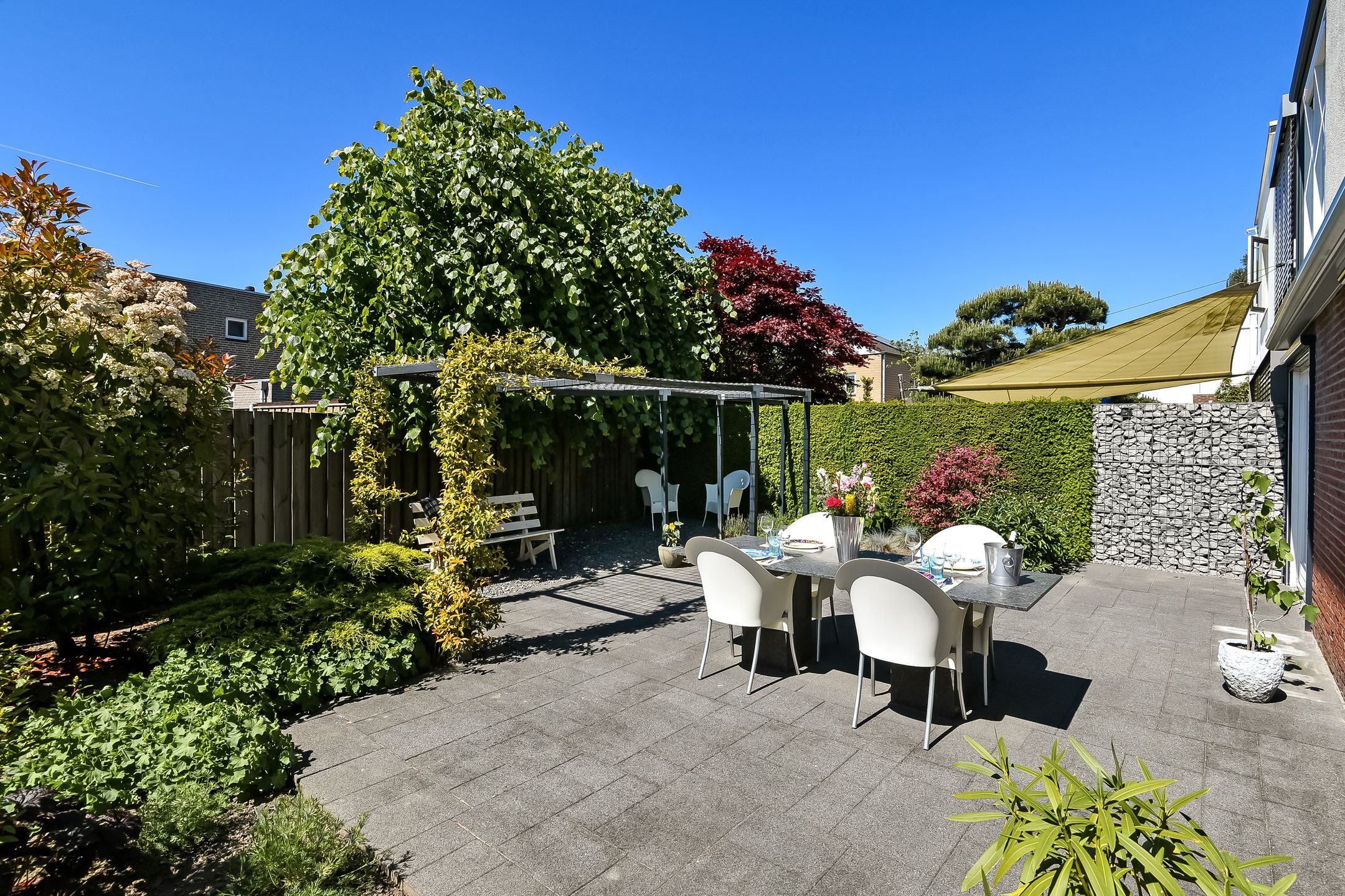 Foto 3 van Jonagold 6