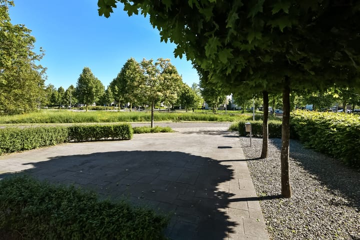 Foto 51 van Jonagold 6