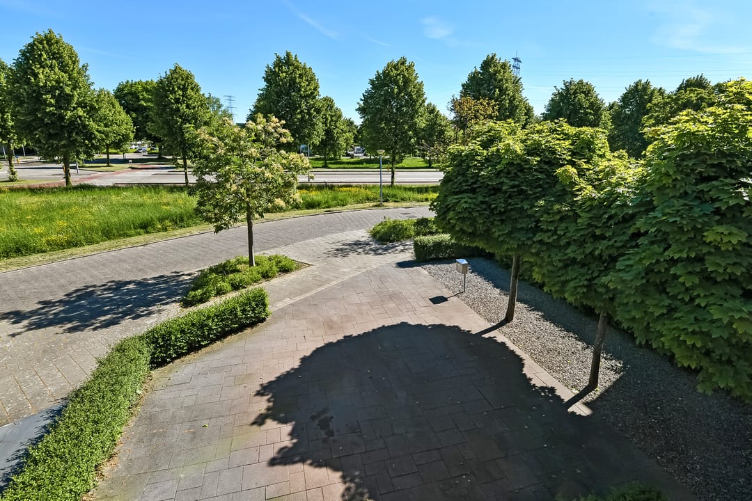 Foto 53 van Jonagold 6