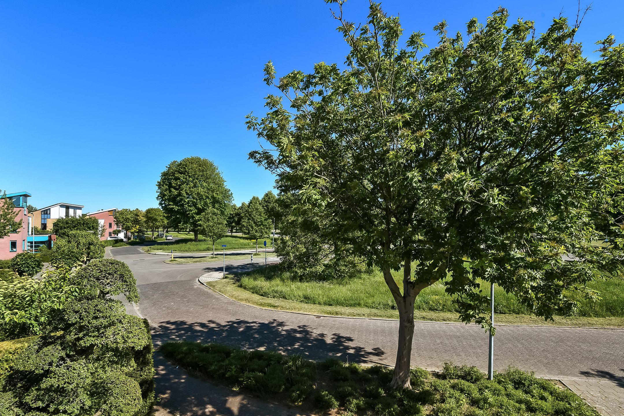 Foto 54 van Jonagold 6