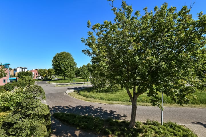 Foto 54 van Jonagold 6