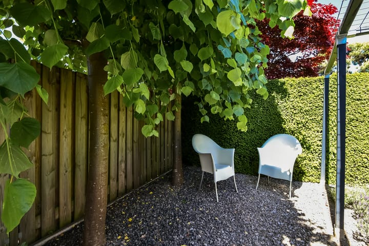 Foto 61 van Jonagold 6