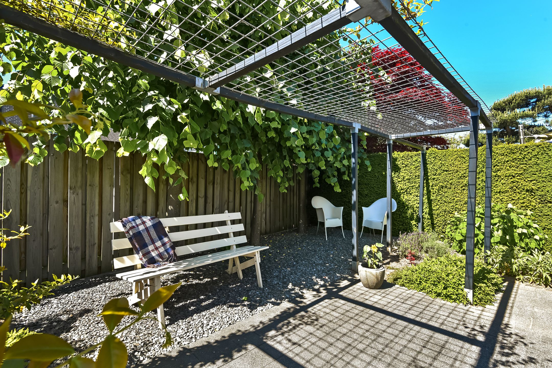 Foto 63 van Jonagold 6