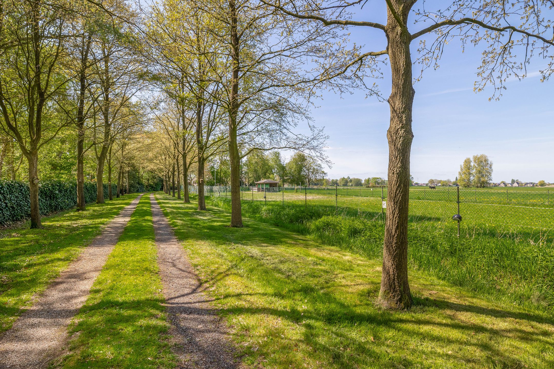 Foto 42 van Meester Wijmaweg 7