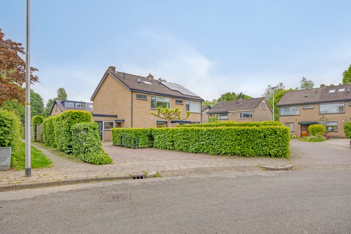 Foto 42 van Braamkamp 411