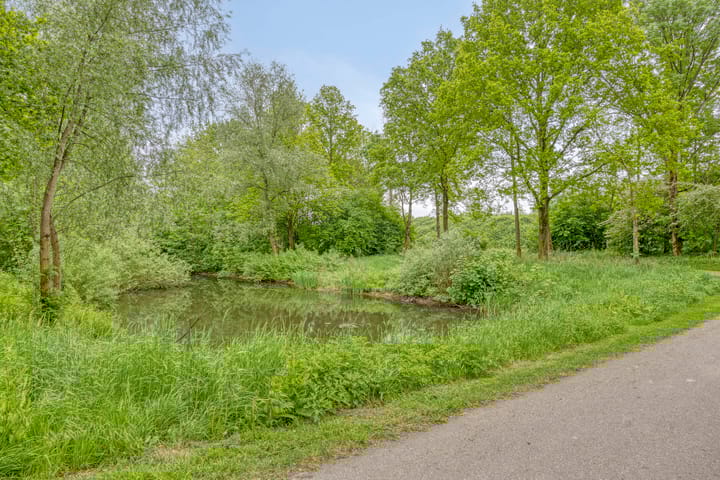 Foto 46 van Braamkamp 411