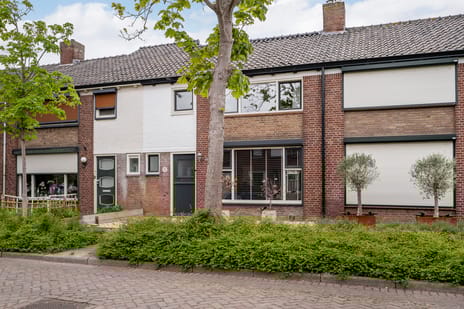 undefined main image