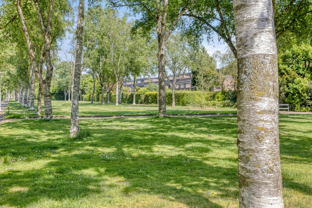 Foto 37 van Diekirchlaan 139