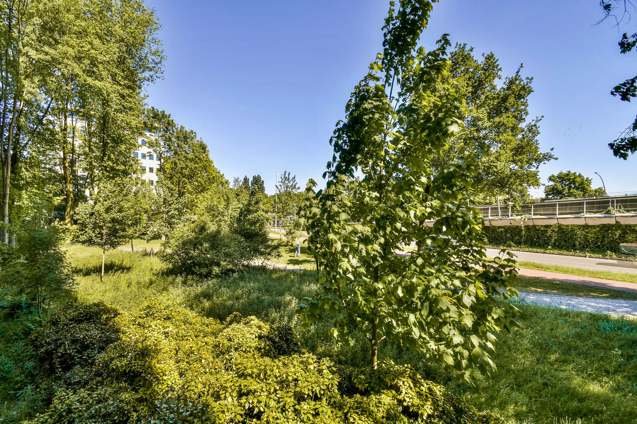 Foto 6 van Rachmaninoffplantsoen 4