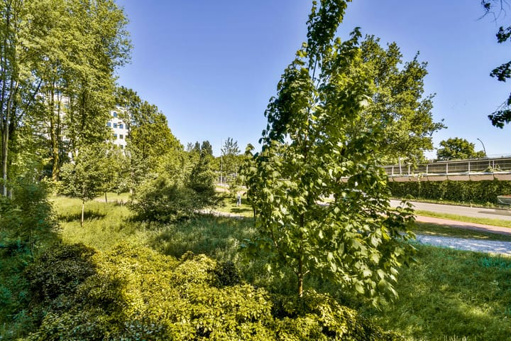 Foto 6 van Rachmaninoffplantsoen 4