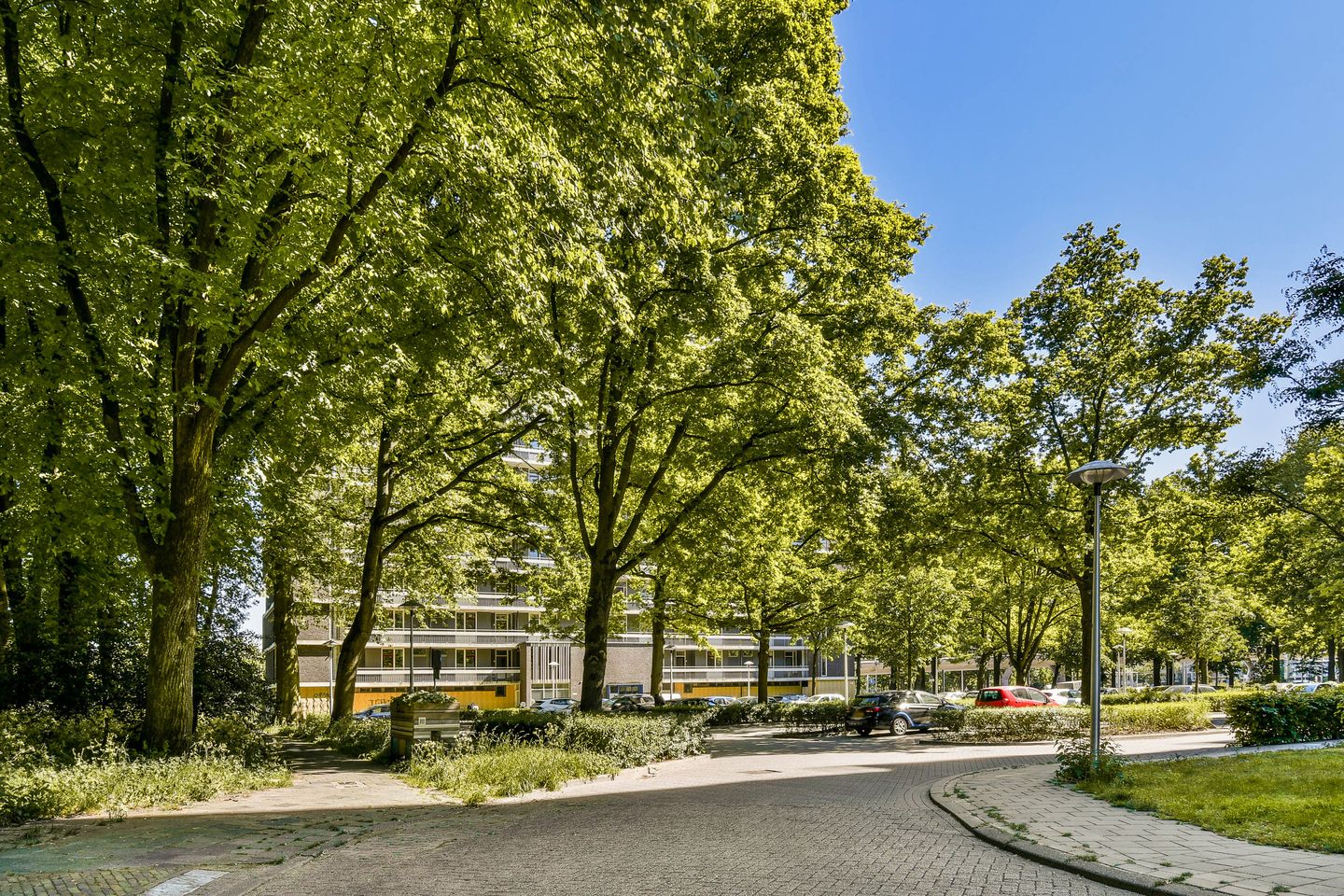 Foto 20 van Rachmaninoffplantsoen 4