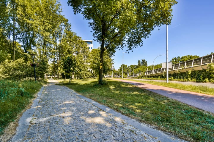 Foto 22 van Rachmaninoffplantsoen 4