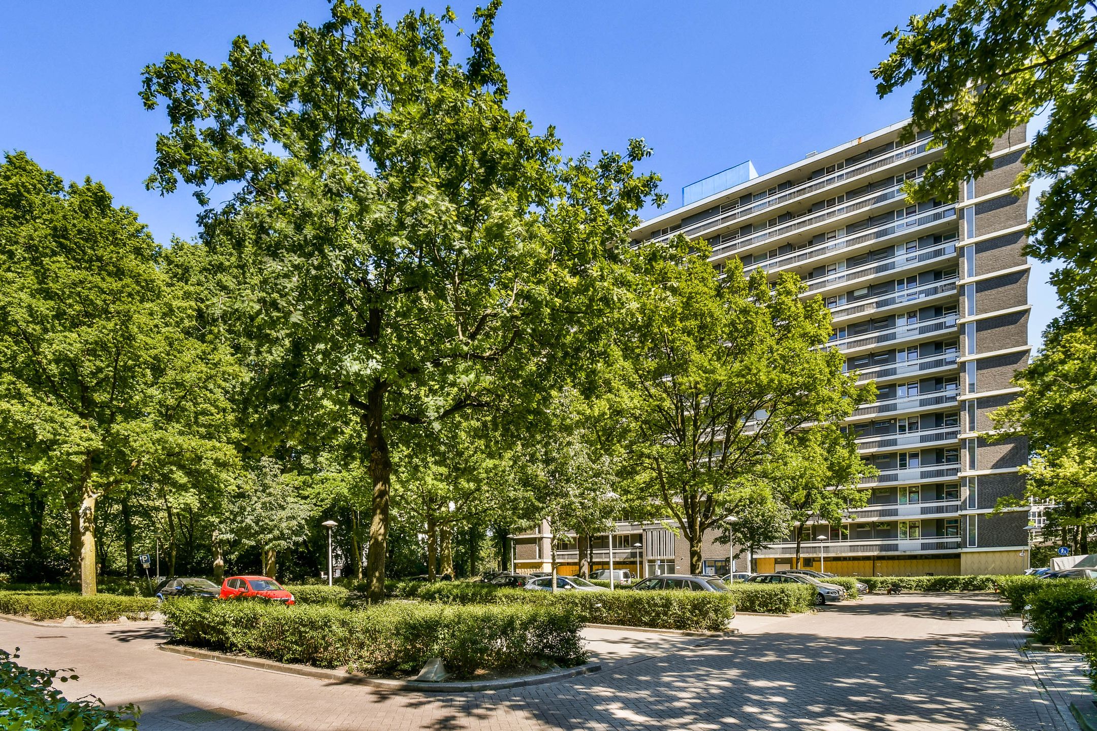 Foto 24 van Rachmaninoffplantsoen 4