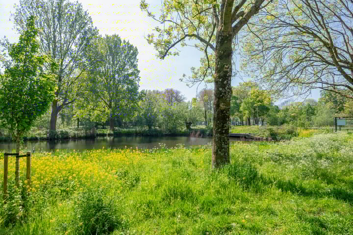 Foto 5 van Korfoedreef 41