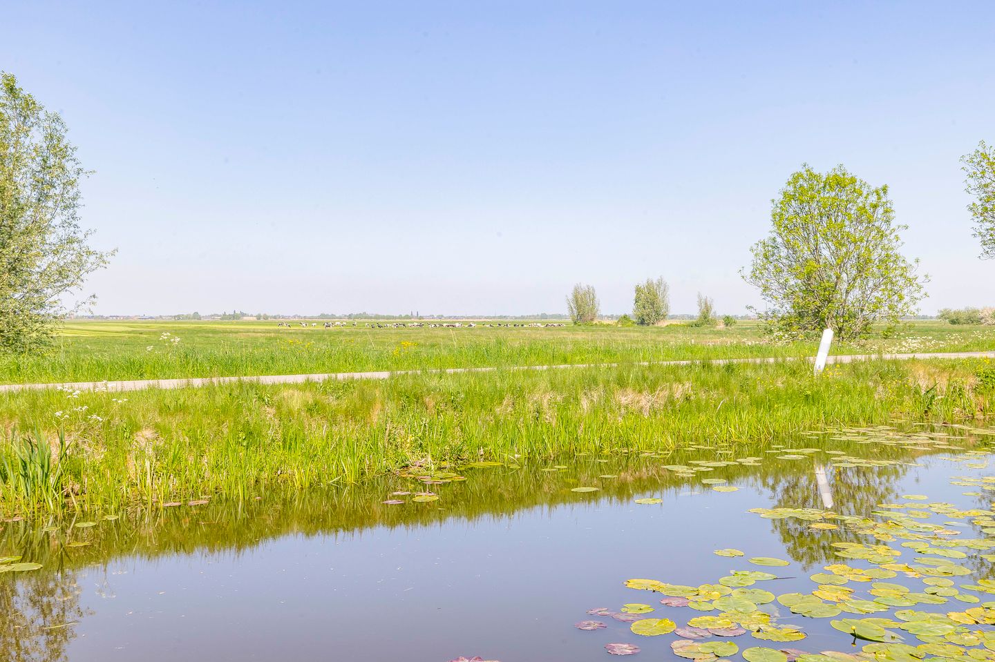 Foto 59 van Lopikerweg 1-B