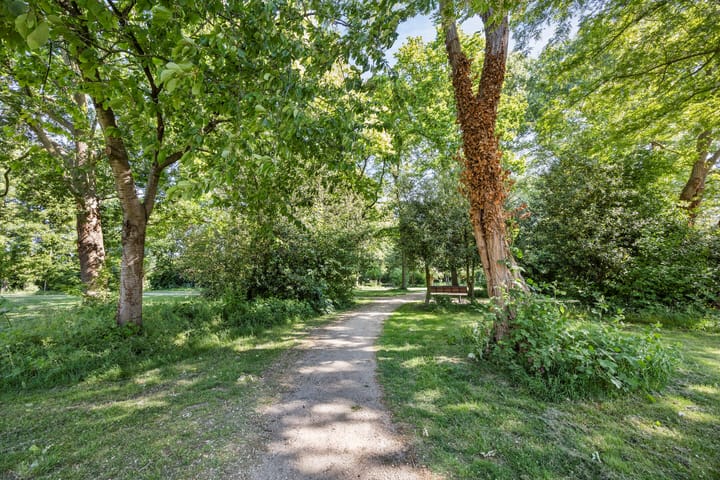 Foto 23 van Vermeerstraat 24