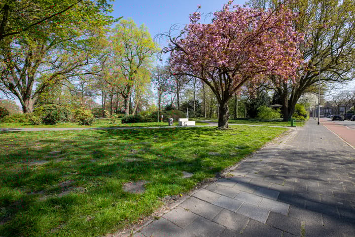 Foto 37 van Arnoldus Asselbergsstraat 33