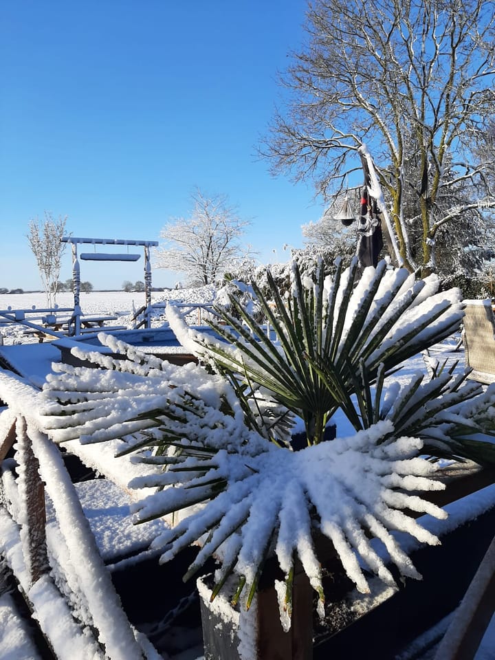 Foto 56 van 't West 21