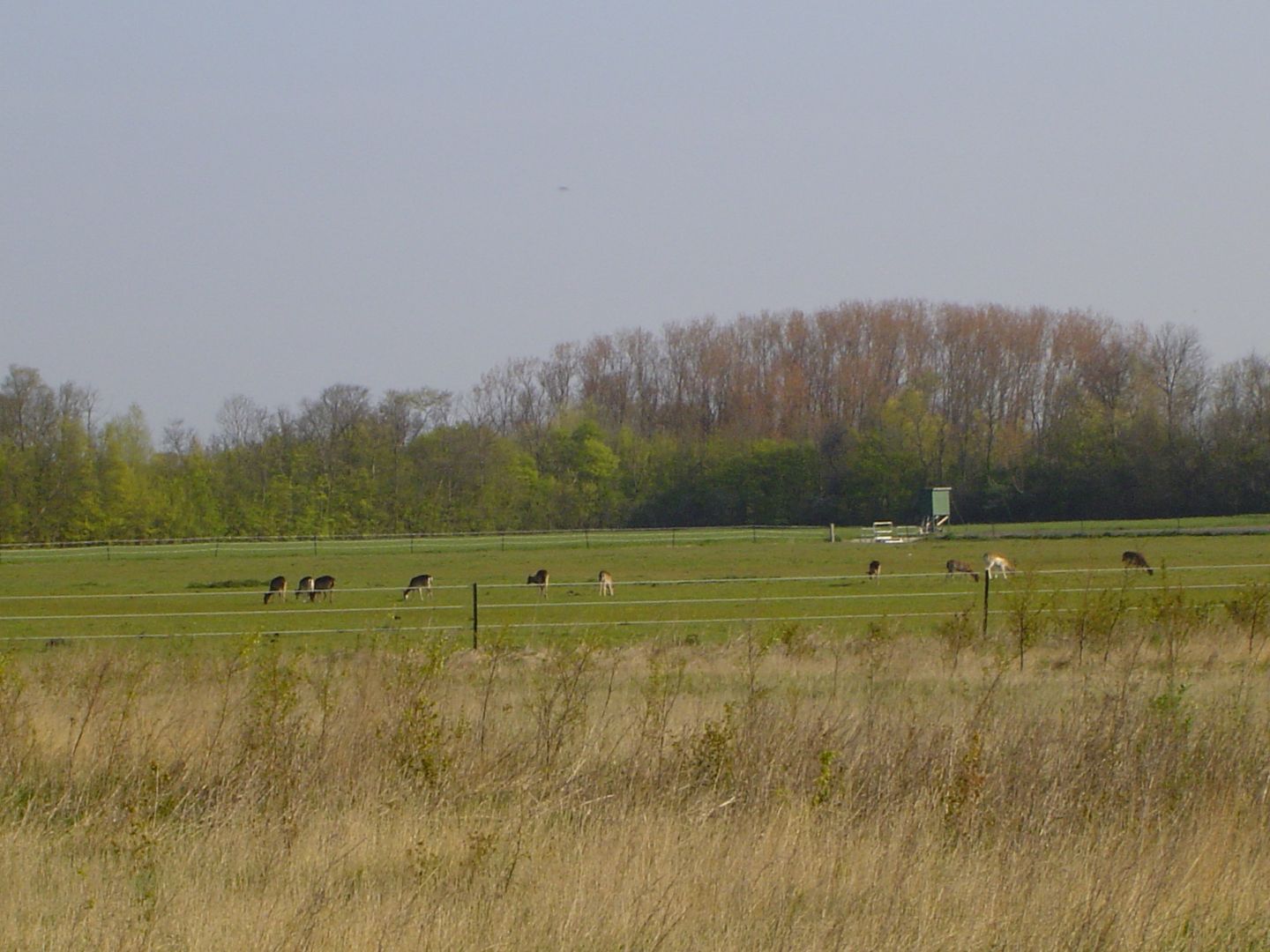 Photo 20 of Het Baken 133