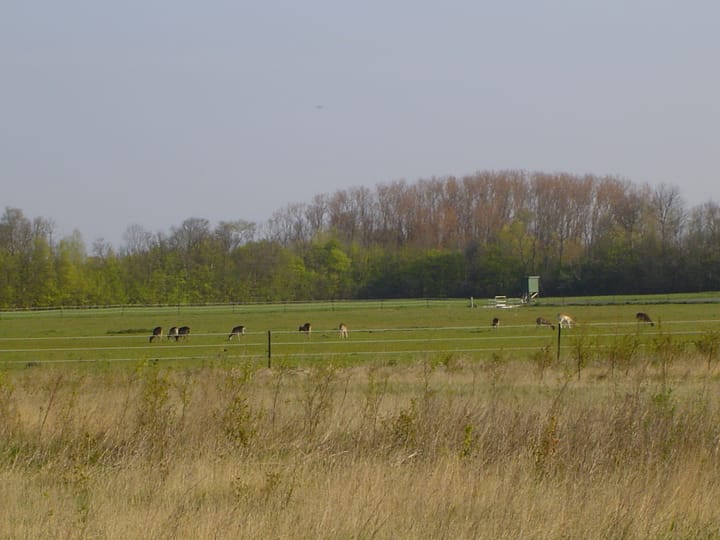 Photo 20 of Het Baken 133