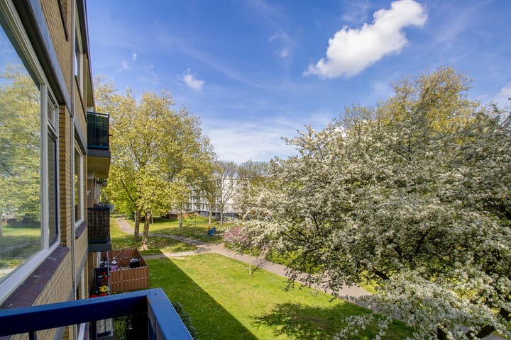 Foto 17 van Rossinistraat 15